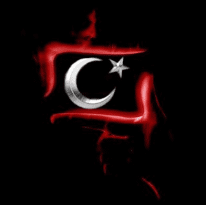 turkey-1