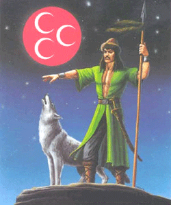 Turkish-Wolf