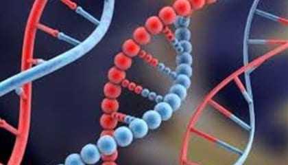 dna